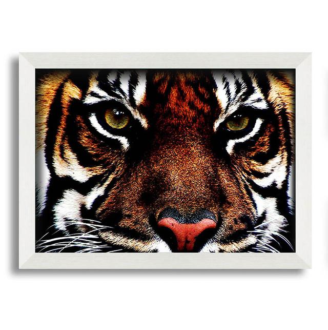 Dessa Male Tiger Face - Print Latitude Run Size: 59.7cm H x 84.1cm W x 10cm D on Productcaster.