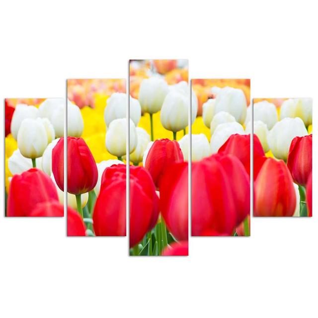 Canvas Print Tulip Red White Ebern Designs Size: 100cm H x 200cm W on Productcaster.