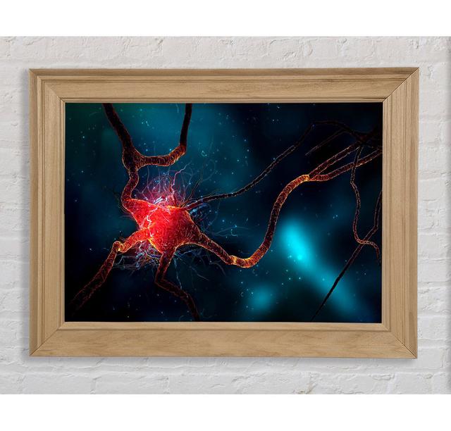 Neuron - Single Picture Frame Art Prints Bright Star Size: 84.1cm H x 142.2cm W x 8 cm on Productcaster.