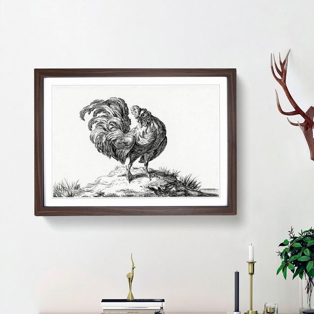 Sketch of a Rooster by Jean Bernard - Picture Frame Drawing Print East Urban Home Frame Option: Walnut Framed, Size: 27cm H x 36cm W x 2cm D on Productcaster.