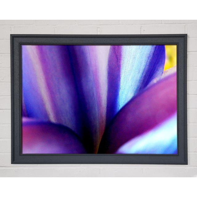 Violet Dream Framed Print Ivy Bronx Size: 29.7cm H x 42cm W x 1.5cm D, Format: Grey Framed Paper on Productcaster.