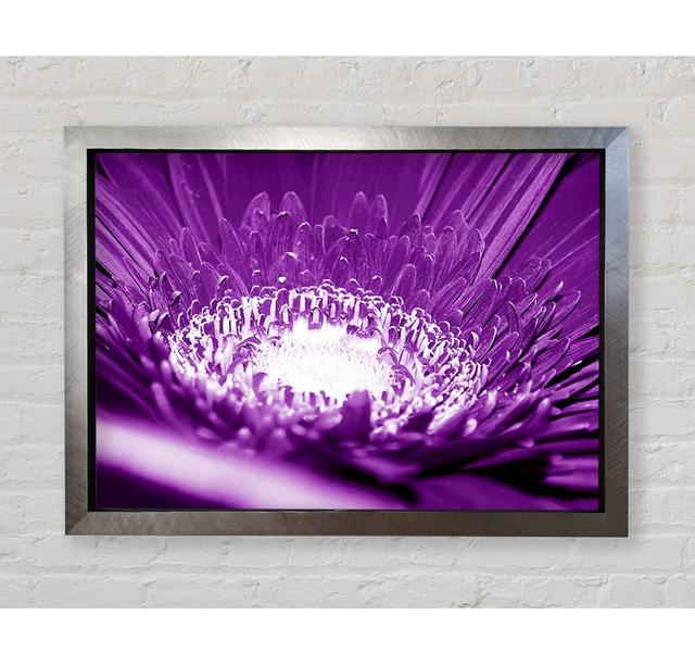 Daisy Centre Purple Framed Print August Grove Size: 100.1cm H x 141.4cm W x 3.4cm D, Format: Silver Framed Paper on Productcaster.