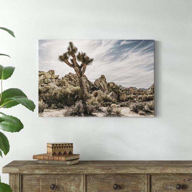 Views of Joshua Tree VIII by Rachel Perry - Wrapped Canvas Photograph Natur Pur Size: 61cm H x 91cm W on Productcaster.