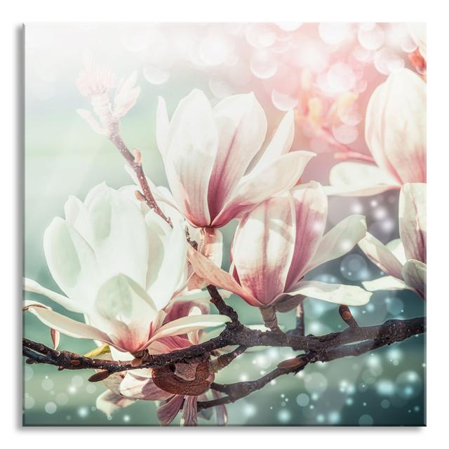 Beautiful Magnolias Close -up - Unframed Photograph on Glass Brayden Studio Size: 80cm H x 80cm W x 0.4cm D on Productcaster.