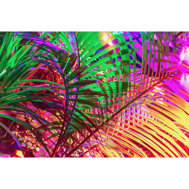 Tropical Natural Palm Tree by Svetlanais - Wrapped Canvas Print 17 Stories Size: 30cm H x 46cm W on Productcaster.