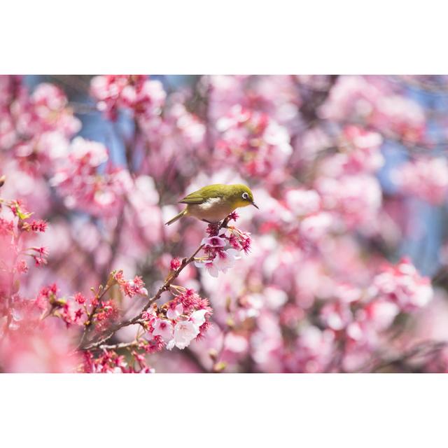 Sakura (Kan Sakura) In Japan - Wrapped Canvas Print Ebern Designs Size: 81cm H x 122cm W x 3.8cm D on Productcaster.