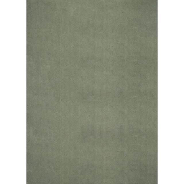 Hiroto Rug in Dark Green Latitude Run Rug Size: Rectangle 120 x 170cm on Productcaster.