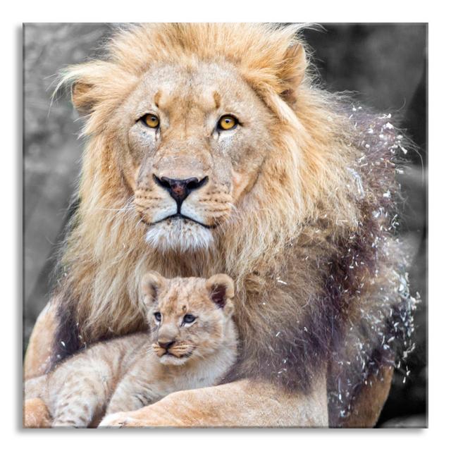 Lion Snuggling With Cub - No Frame Print on Glass Ebern Designs Size: 60cm H x 60cm W x 0.4cm D on Productcaster.