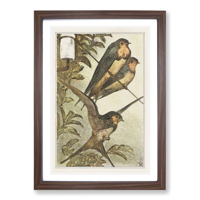 Three Swallows by Theo Van Hoytema - Picture Frame Painting East Urban Home Frame Option: Walnut, Size: 48cm H x 36cm W x 2cm D on Productcaster.