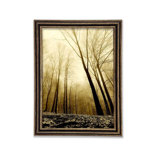 In The Depth Of The Forest Framed Print Rosalind Wheeler Size: 59.7cm H x 84.1cm W x 3cm D on Productcaster.