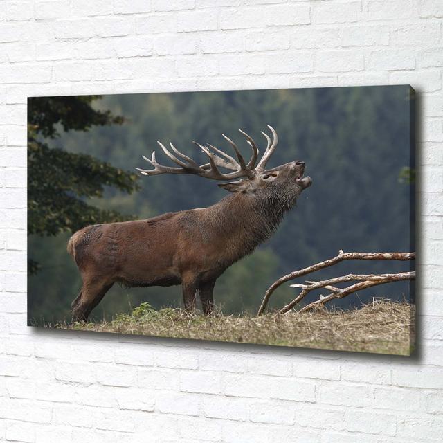 Deer on the Hill - Kunstdrucke auf Segeltuch Union Rustic on Productcaster.