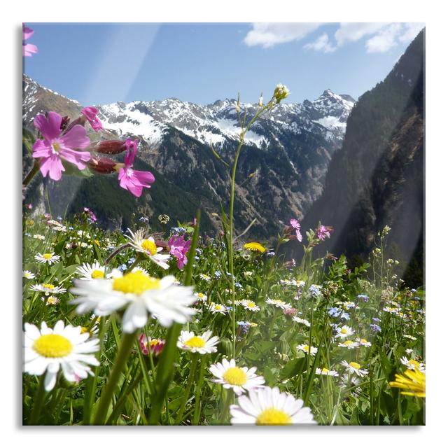 Beautiful Alpine Flower Meadow - No Frame Print on Glass Alpen Home Size: 80cm H x 80cm W x 0.4cm D on Productcaster.