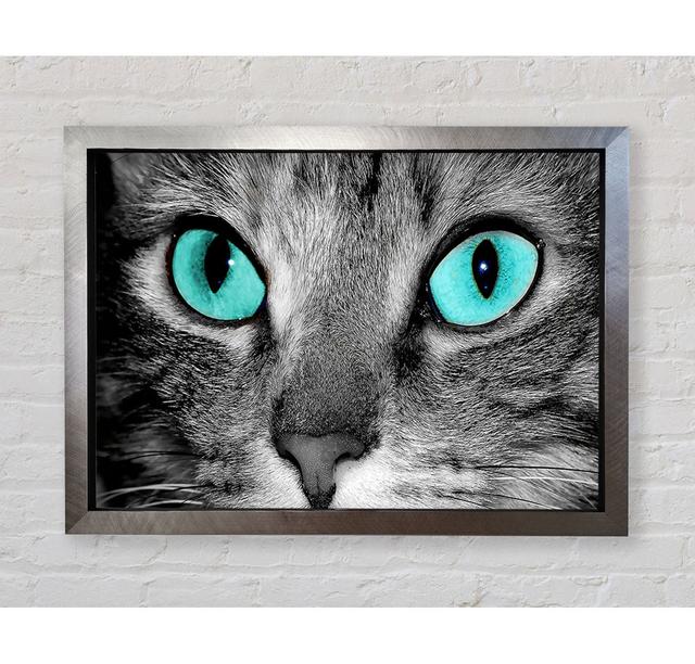 Close Up Of A Grey Tabby Cat Face - Single Picture Frame Art Prints Bright Star Size: 42cm H x 59.7cm W x 3.4cm D on Productcaster.