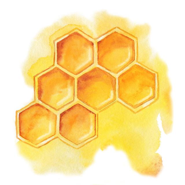 Beckwourth Honeycomb With Honey by Natalya Matyushina - Wrapped Canvas Print Latitude Run Size: 30cm H x 30cm W x 3.8cm D on Productcaster.