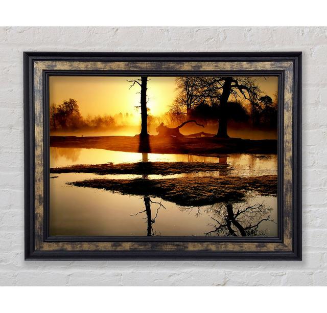 Single Picture Frame Art Prints Bright Star Size: 42cm H x 59.7cm W on Productcaster.