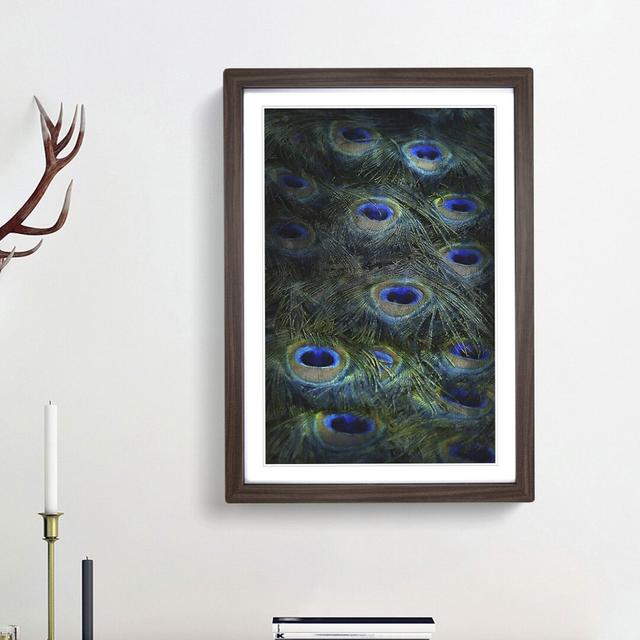 The Feathers of a Peacock - Picture Frame Painting Print on MDF East Urban Home Frame Option: Walnut Framed, Size: 45cm H x 33cm W x 2cm D on Productcaster.