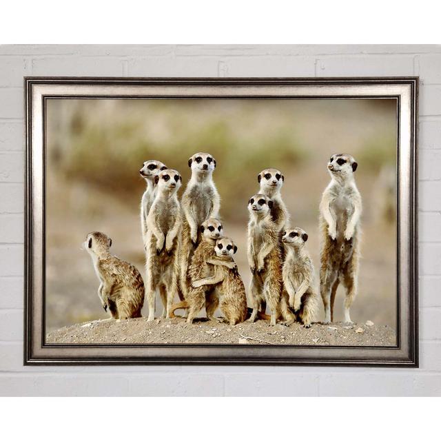 Meerkat Family Framed Print Brayden Studio Size: 84.1cm H x 118.9cm W on Productcaster.