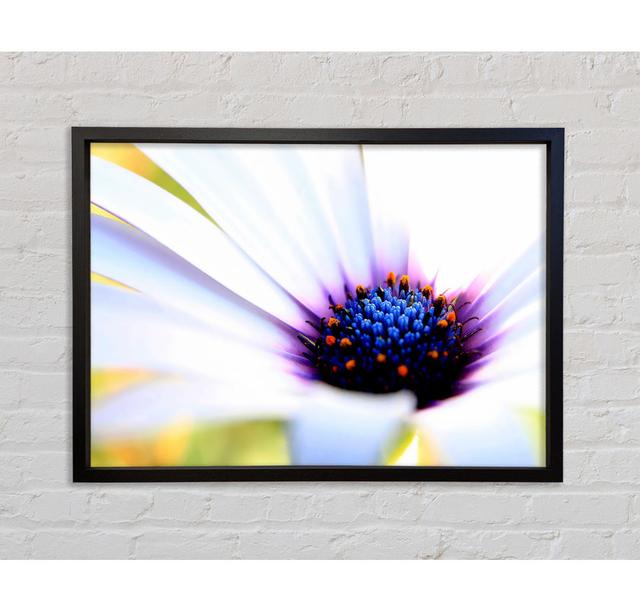 Purple Daisy Centre - Print Brayden Studio Size: 59.7cm H x 84.1cm W x 3.3cm D, Format: Black Framed Canvas on Productcaster.