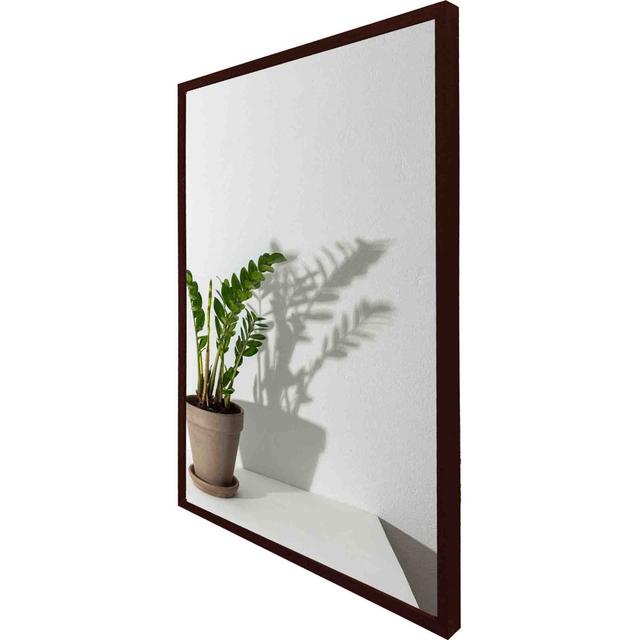 Florien Zamioculcas - Single Picture Frame Art Prints Bay Isle Home Size: 76cm H x 51cm W x 4cm D, Frame Colour: Brown on Productcaster.