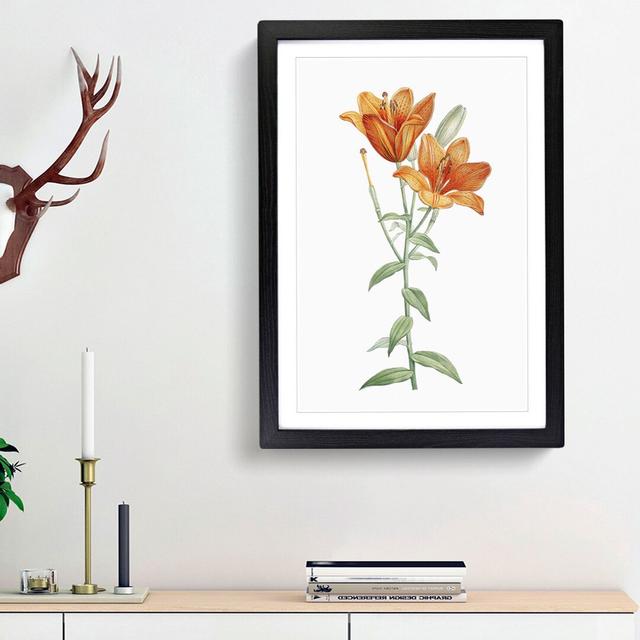 Orange Lily Flowers by Pierre-Joseph Redoute - Picture Frame Painting Print East Urban Home Size: 48cm H x 36cm W x 2cm D, Frame Option: Black Framed on Productcaster.