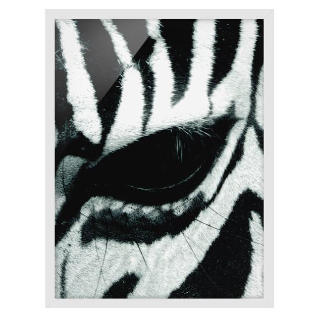 Zebra Crossing No.4 - Picture Frame Graphic Art Union Rustic Frame Option: White Framed, Size: 70cm H x 50cm W x 2cm D on Productcaster.