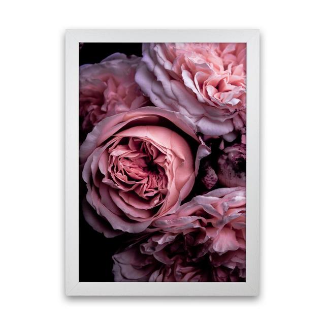 Vintage Pink by Victoria Frost - Print Mercer41 Size: 34cm H x 25cm W x 3cm D, Format: White Framed on Productcaster.