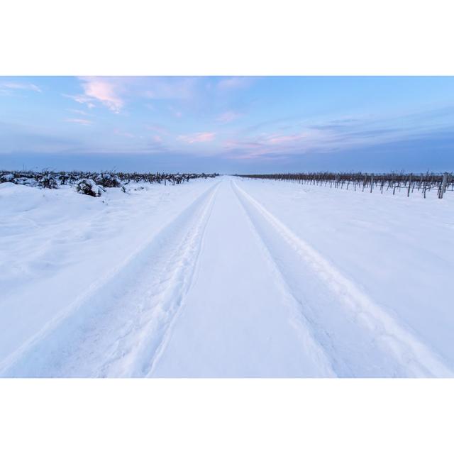 Tire Track in Snow by Ouchi_Iro - Wrapped Canvas Photograph 17 Stories Size: 51cm H x 76cm W on Productcaster.