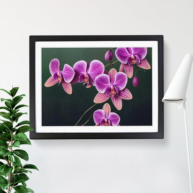 Magnificent Orchid Flowers - Single Picture Frame Print 17 Stories Frame Colour: Black, Size: 34cm H x 46cm W x 2cm D on Productcaster.