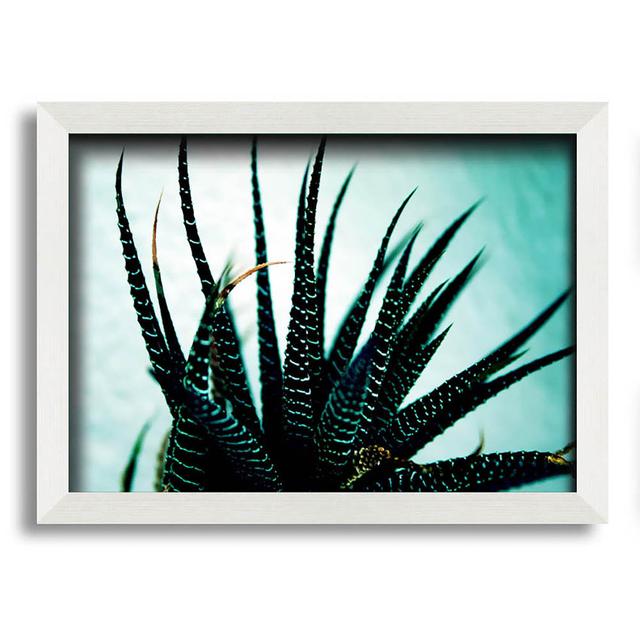 Sea Urchin - Single Picture Frame Art Prints Bloomsbury Market Size: 21cm H x 29.7cm W on Productcaster.