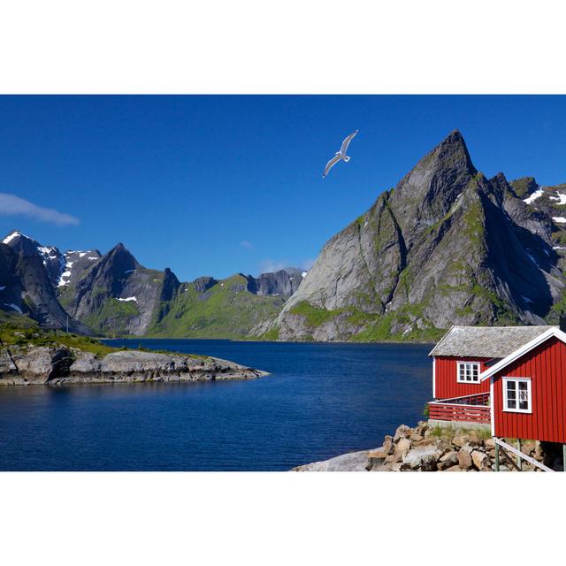 Lofoten Islands by Harvepino - Wrapped Canvas Photograph Alpen Home Size: 51cm H x 76cm W on Productcaster.