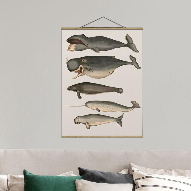 Five Vintage Whales - Painting Print Highland Dunes Size: 106.5cm H x 80cm W x 0.3cm D on Productcaster.