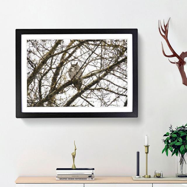 Great Horned Owl Resting - Picture Frame Graphic Art Print East Urban Home Frame Option: Black Framed, Size: 24cm H x 33cm W x 2cm D on Productcaster.