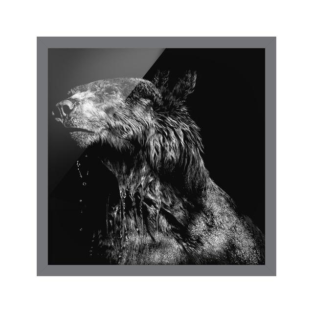 Bear Before Black - Picture Frame Graphic Art Union Rustic Size: 70cm H x 70cm W x 2cm D, Frame Option: Grey Framed on Productcaster.