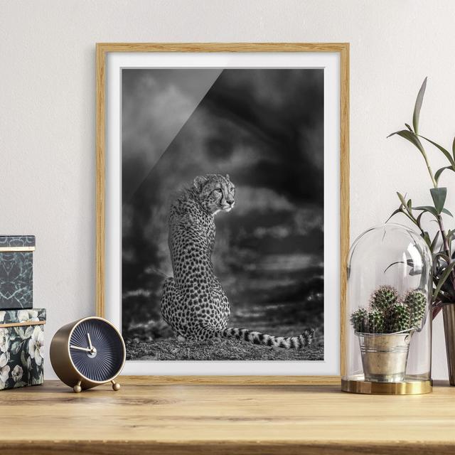 Cheetah in the Wild - Picture Frame Photograph Latitude Vive Size: 40cm H x 30cm W x 2cm D, Frame Option: Brown Framed on Productcaster.