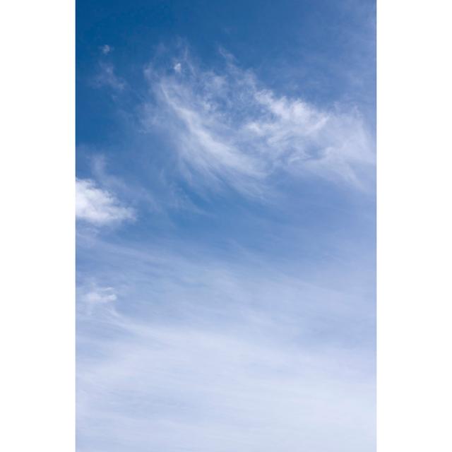 Cloud Background by Dlerick - No Frame Print on Canvas 17 Stories Size: 30cm H x 20cm W on Productcaster.