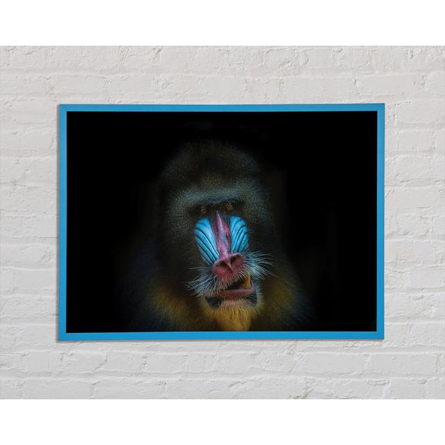 Mandrill Anger - Single Picture Frame Art Prints Brayden Studio Size: 59.7cm H x 84.1cm W on Productcaster.