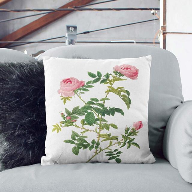 English Roses by Pierre-Joseph Redoute Cushion with Filling East Urban Home Size: 55cm H x 55cm W x 20cm D, Backing Colour: Dark Blue on Productcaster.