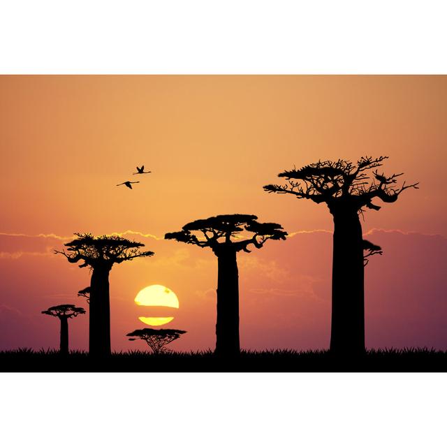 Baobab at Sunset by RossellaApostoli - Wrapped Canvas Photograph Rosalind Wheeler Size: 20cm H x 30cm W x 3.8cm D on Productcaster.