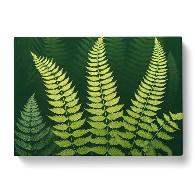 Pretty Fern Leaves - Wrapped Canvas Print 17 Stories Size: 40cm H x 60cm W x 3cm D on Productcaster.