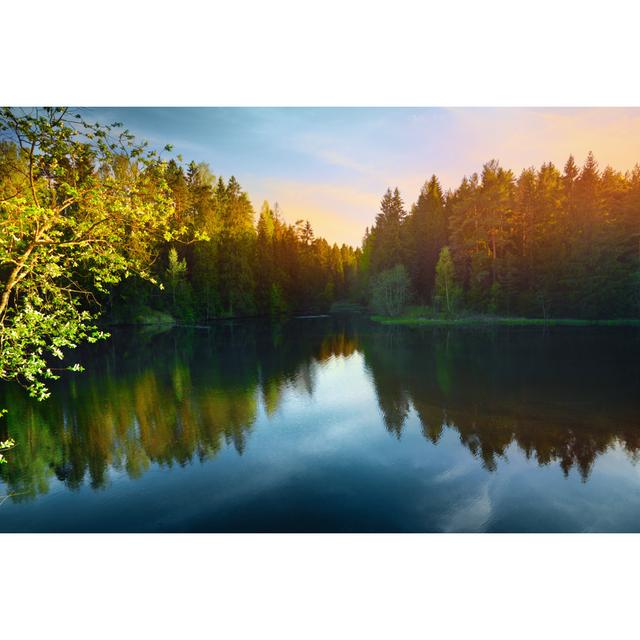 Forest Lake - Wrapped Canvas Photograph Alpen Home Size: 30cm H x 46cm W x 3.8cm D on Productcaster.