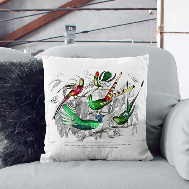 Collection of Hummingbirds PL.60 by Oliver Goldsmith Cushion with Filling East Urban Home Size: 40 x 40 cm, Backing Colour: Stone on Productcaster.