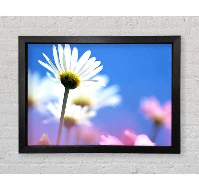 Daisies In The Sky - Print Bright Star Size: 100cm H x 141.4cm W on Productcaster.