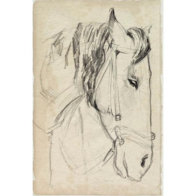 Horse In Bridle Sketch I Ivy Bronx Size: 122cm H x 81cm W x 3.8cm D on Productcaster.