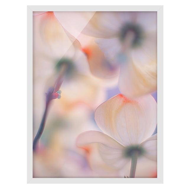 Under Flowers - Picture Frame Graphic Art Marlow Home Co. Frame Option: White Framed, Size: 55cm H x 40cm W x 2cm D on Productcaster.