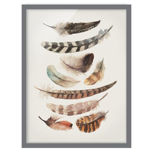 Nine Feathers - Picture Frame Graphic Art Gracie Oaks Size: 70cm H x 50cm W x 2cm D, Frame Option: Grey Framed on Productcaster.