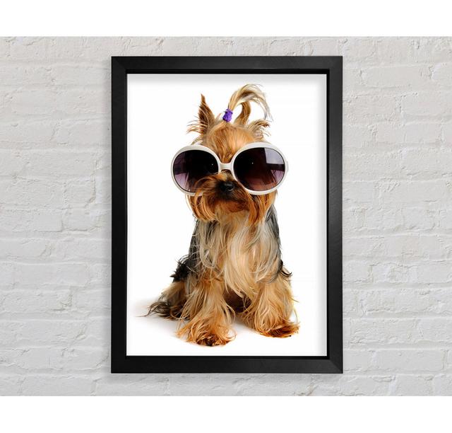 Yorkshire Terrier Hund Glamour - Druck Bright Star Größe: 84,1 cm H x 59,7 cm B x 3,4 cm T on Productcaster.