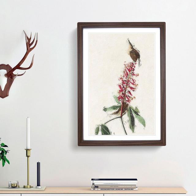 Great Carolina Wrens by John Audubon - Picture Frame Painting Print East Urban Home Frame Option: Walnut Framed, Size: 36cm H x 27cm W x 2cm D on Productcaster.