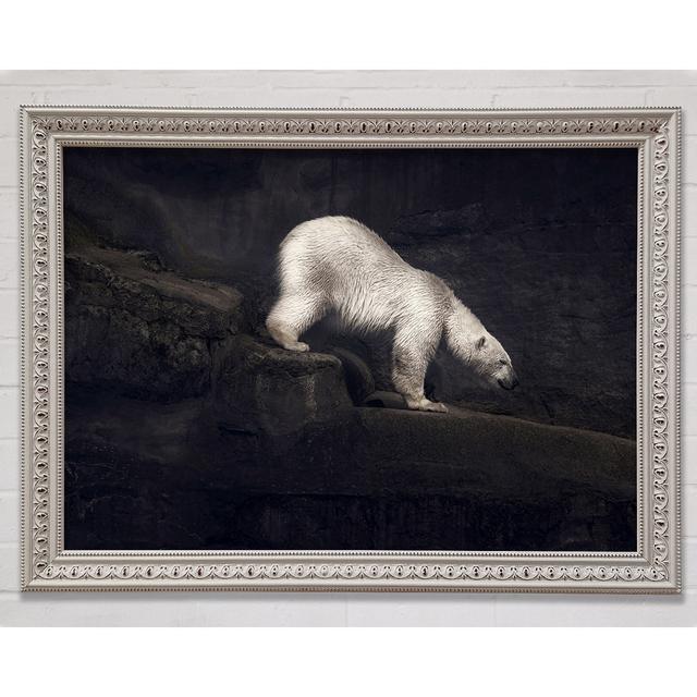 Polar Bear Hunt - Single Picture Frame Art Prints Bright Star Size: 59.7cm H x 84.1cm W x 3cm D on Productcaster.