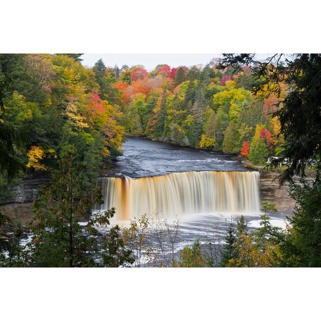 Michigan''s Tahquamenon Falls Alpen Home Size: 30cm H x 46cm W x 3.8cm D on Productcaster.