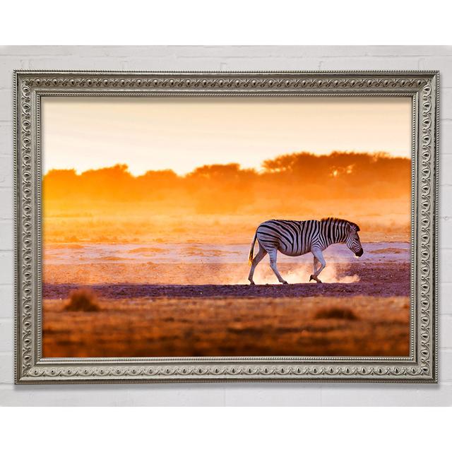 Zebra Roaming Framed Print Alpen Home Format: Silver Framed Paper, Size: 100cm H x 141.4cm W x 3cm D on Productcaster.